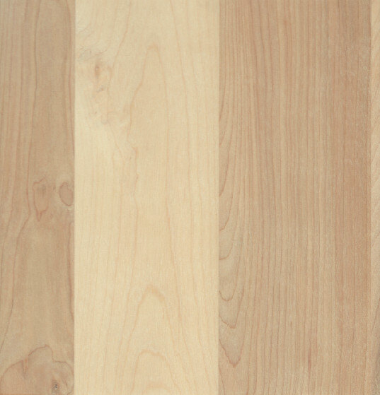 Coastal on Birch