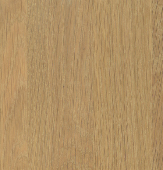 Coastal on White Oak