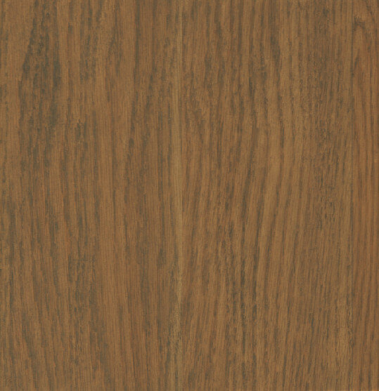 Fawn on Red Oak