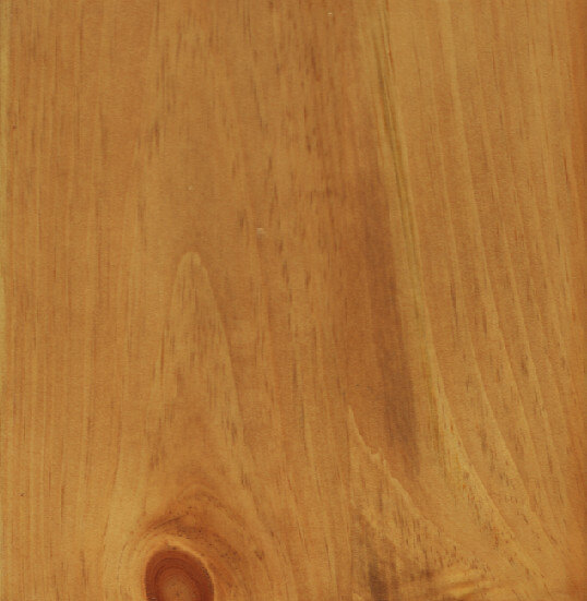 Hickory on Pine