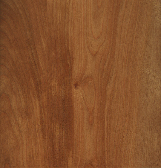 Hickory on Red Birch