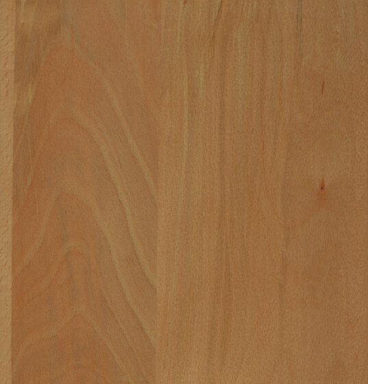 Natural Beech