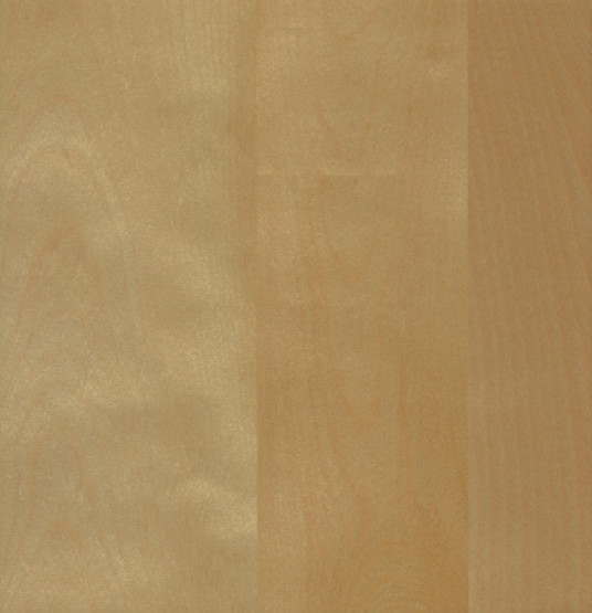 Natural White Beech