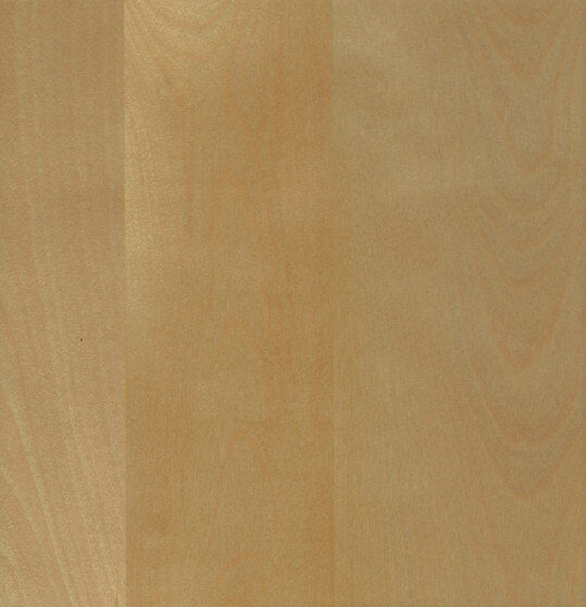 Natural White Birch