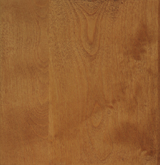 Pecan on White Birch