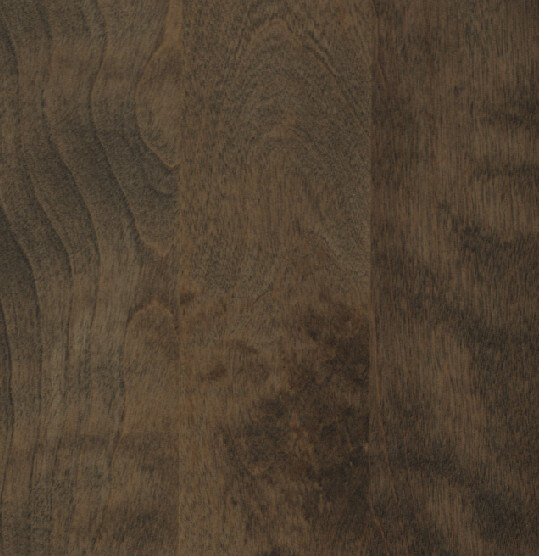 Sable on Birch