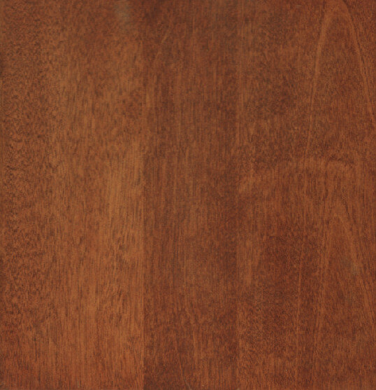 Warm Cherry on White Birch